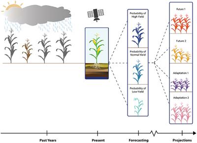 Hydrologic and Agricultural Earth Observations and Modeling for the Water-Food Nexus